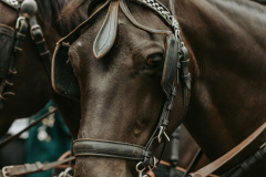 16082025_Janas_Traces_Fotografie_139