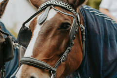 16082025_Janas_Traces_Fotografie_252